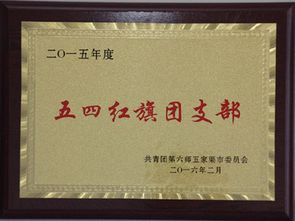 五家渠市政府 五家渠第三小學(xué)團支部榮獲師市 五四紅旗團委 稱號