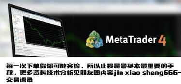 一個(gè)農(nóng)村程序員的炒匯之路 重整旗鼓,開始偷師學(xué)習(xí)之路